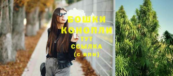 эйфоретик Каменка