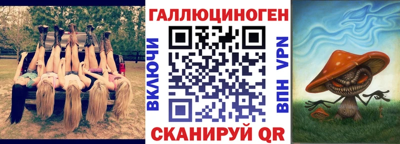 Галлюциногенные грибы Psilocybine cubensis  Таганрог 
