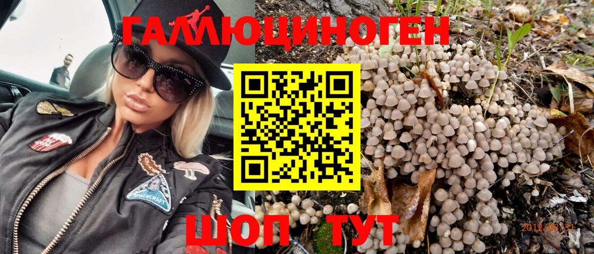 Галлюциногенные грибы Magic Shrooms  Вход с VPN  Галлюциногенные грибы Cubensis  Таганрог 
