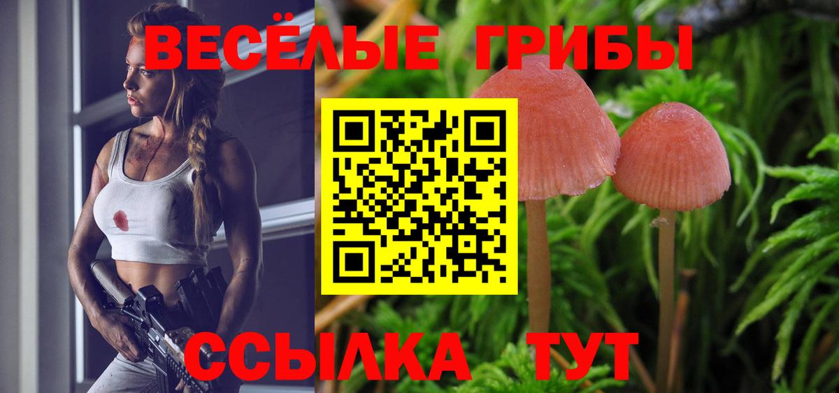 Галлюциногенные грибы мицелий  Вход с VPN  Галлюциногенные грибы ЛСД  Таганрог 