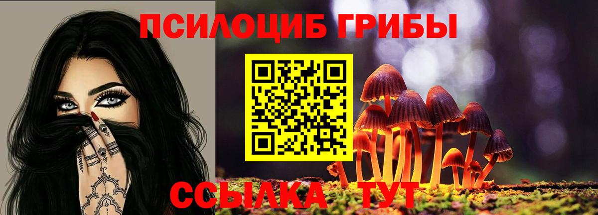 Галлюциногенные грибы MAGIC MUSHROOMS Таганрог